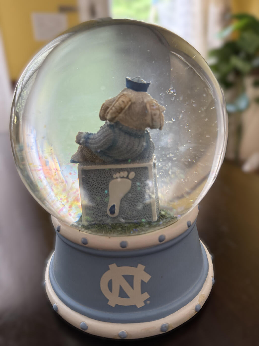 A_NC2 A_NC2